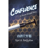 Confluence: A Person-Shaped Story