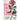 Roses Among the Thorns