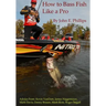 How to Bass Fish Like a Pro