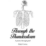 Through the Thunderstorm: A poetry through grief