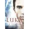 Luka: The Gifting, a companion novel