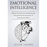 Emotional Intelligence: How to Control your Emotions and Gain Emotional Awareness of Yourself and Others