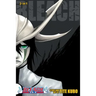 Bleach (3-In-1 Edition), Vol. 14: Includes Vols. 40, 41 & 42