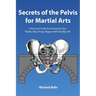 Secrets of the Pelvis for Martial Arts: A Practical Guide for Improving Your Wujifa, Taiji, Xingyi, Bagua and Everyday Life
