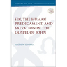Sin, the Human Predicament, and Salvation in the Gospel of John