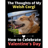 The Thoughts of My Welsh Corgi: How to Celebrate Valentine's Day