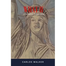 What If: A Historical Fiction Novel