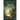 The Lost King's Daughter