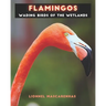 Flamingos: Wading birds of the wetlands