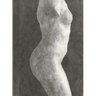 Rodin: Photographs by Emmanuel Berry