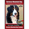 Bernese Mountain Dog Training Book for Dogs & Puppies By BoneUP DOG Training: Are You Ready to Bone Up? Easy Training * Fast Results Bernese Mountain