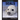 My Favorite Animal: Seals