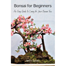 Bonsai for Beginners: An Easy Guide to Caring for Your Bonsai Tree