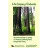 In the Company of Redwoods: An InterActive Guide to Learning 50 Redwood Community Plants through Hand Tinting