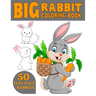 The Big Rabbit Coloring Book: Cute and Funny Coloring Book For Kids Who Like Coloring Rabbit