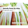 Standly finds his tribe: A redwood's story