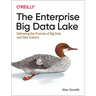 The Enterprise Big Data Lake: Delivering the Promise of Big Data and Data Science