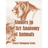 Studies in the Art Anatomy of Animals