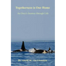 Togetherness is Our Home: An Orca's Journey through Life