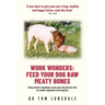 Work Wonders: Feed Your Dog Raw Meaty Bones