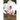 Murder Under the Magnolias