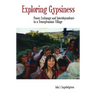 Exploring Gypsiness: Power, Exchange and Interdependence in a Transylvanian Village