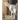 Goats: The Picture Book of Beautiful Goats for Kids, Alzheimer's Seniors with Dementia.