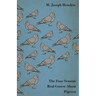 The Four Seasons Real Course About Pigeons