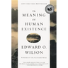 The Meaning of Human Existence