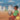 Let's Play Football: With African Animals in Afaan Oromo and English