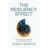 The Resiliency Effect: How to Own Your Adversity to Act on Your Biggest Dreams