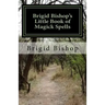 Brigid Bishop's Little Book of Magick Spells: 21st Century Magick