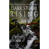 The Raven And The Crow: Dark Storm Rising