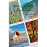 New England's Seasonal Echoes