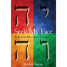 Seek My Face: A Jewish Mystical Theology