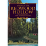 Through the Redwood Hollow