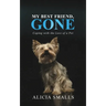 My Best Friend, Gone: Coping With the Loss of a Pet