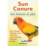 Sun Conure. Sun Conures as pets. Sun Conures Keeping, Pros and Cons, Care, Housing, Diet and Health.