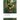 The Jungle Books