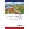 Cyanobacteria Cultivation in a Tubular Baffled Photobioreactor TBPBR