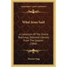 What Jesus Said: A Collection Of The Divine Teachings, Selected Literally From The Gospels (1866)