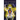 First Steps in Ritual