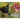 Delilah and the Lilacs: Black Bear Sled Dog and Friends