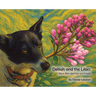 Delilah and the Lilacs: Black Bear Sled Dog and Friends