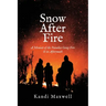 Snow After Fire