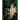 Thorn Jack: A Night and Nothing Novel