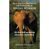 How You Can Become an Invincible Social Worker: The Real Deal on Beating Burnout in Social Work