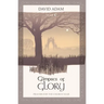 Glimpses of Glory: Prayers for the Church Year: Year C