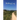 Walking Log: Nature