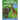The Alphabet Animal Book